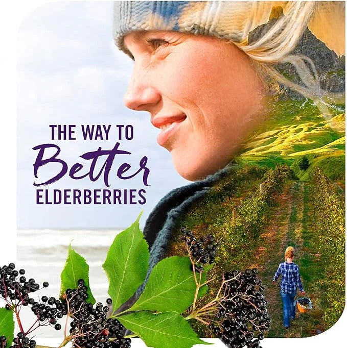 Nature's Way Sambucus Sugar-Free Elderberry Syrup, 8 Fl.