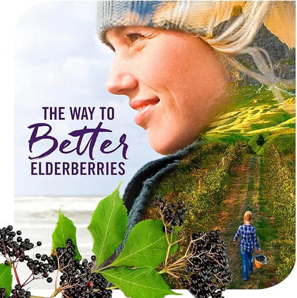 Nature's Way Sambucus Sugar-Free Elderberry Syrup, 8 Fl.
