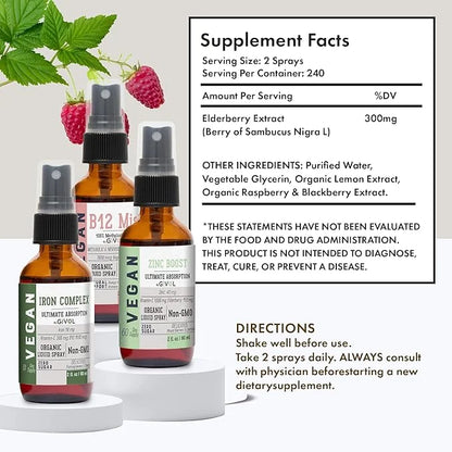 Iron Support Spray Bundle Liquid Vitamin B12 Methylcobalamin, 2 Fl 360 Days