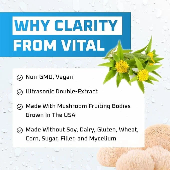 Clarity Tincture - Organic Lions Mane