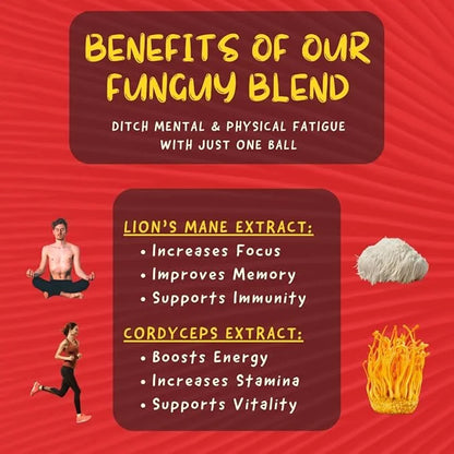 ODD BALLS Organic Energy Balls Cherry - Superfood Mushroom Snack - Running, Cycling, Hiking - Gels, Bars Alternative - Lio...