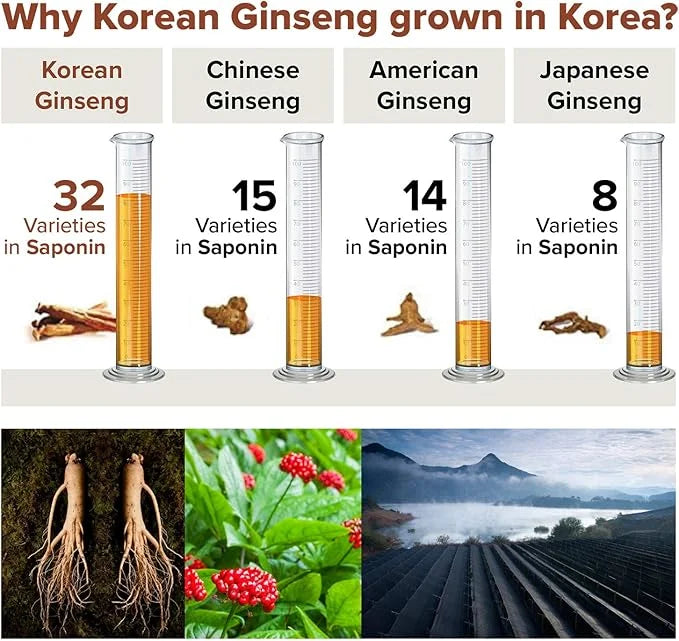 Korean Red Ginseng Extract 3000mg Everyday, Rg3, Panax 6 years 30Packets in 1 set