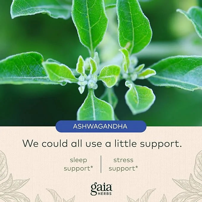 Gaia Herbs SleepThru 30 Vegan (15-Day Supply)