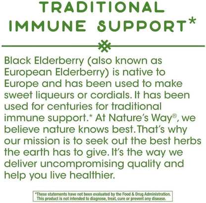 Nature's Way Elderberry, 100 Cap, (Pack 2)