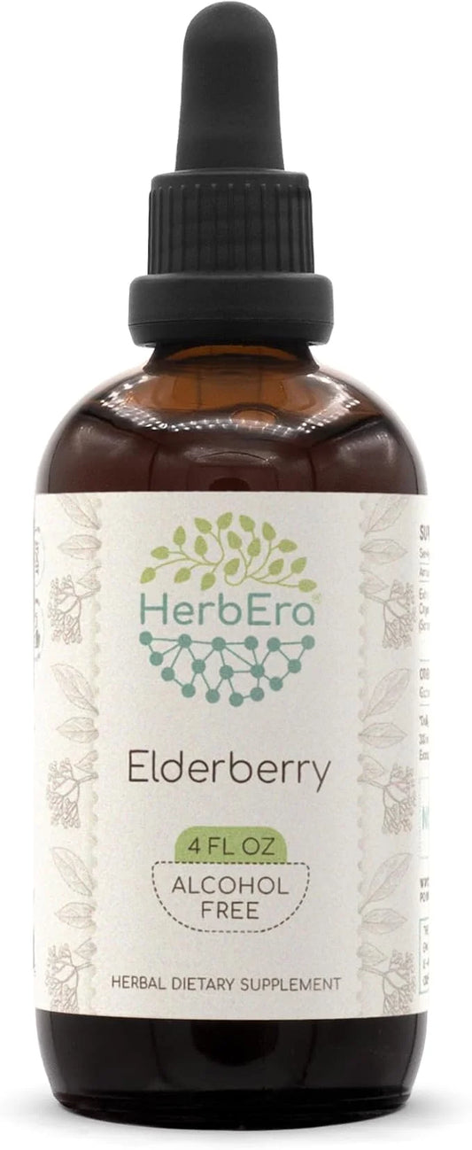 Elderberry B120 Herbal Extract Alcohol-Free Tincture, 4 fl
