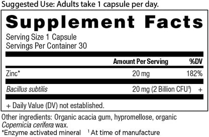 Probiotics and Zinc Supplement by Ancient Nutrition, Supports Healthy Immune System and Gut Health, Made Without GMOs, Sup...