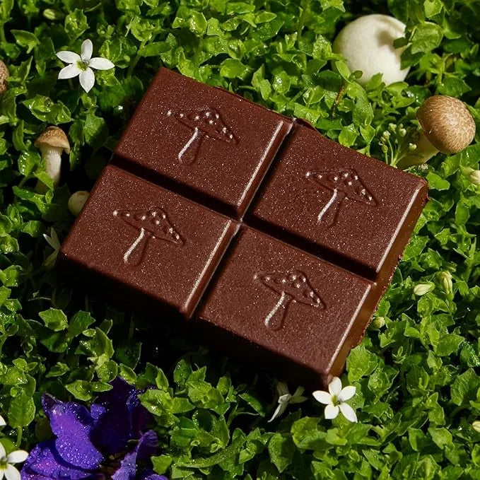 Alice Mushrooms Nightcap + Brainstorm Duo | Functional Mushroom Chocolates | Brainstorm Energy Bites for Focus, Clarity & ...