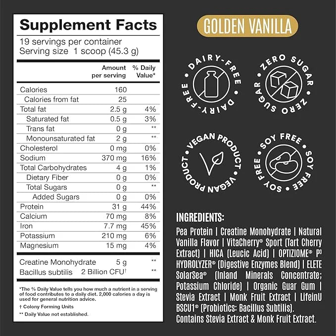 BIRDMAN Falcon Performance Vegan Protein Powder, 31g Protein, 5g Creatine, 5g BCAA, Probiotics, Electrolytes, Pre Workout,...