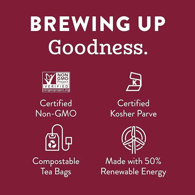 Stash Tea Orange Spice Black Tea - Caffeinated, Non-GMO Project Verified Premium Tea with No Artificial Ingredients, 20 Co...