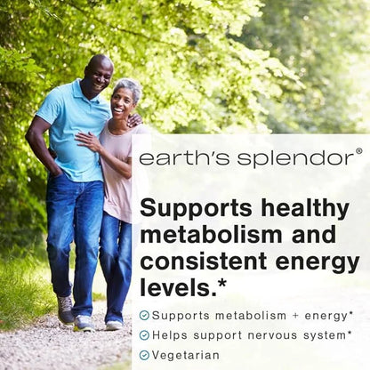 Earth's Splendor Energy Supplements, with Vitamin B12, Dietary (1000mcg, 400 400 Tablets, 2)