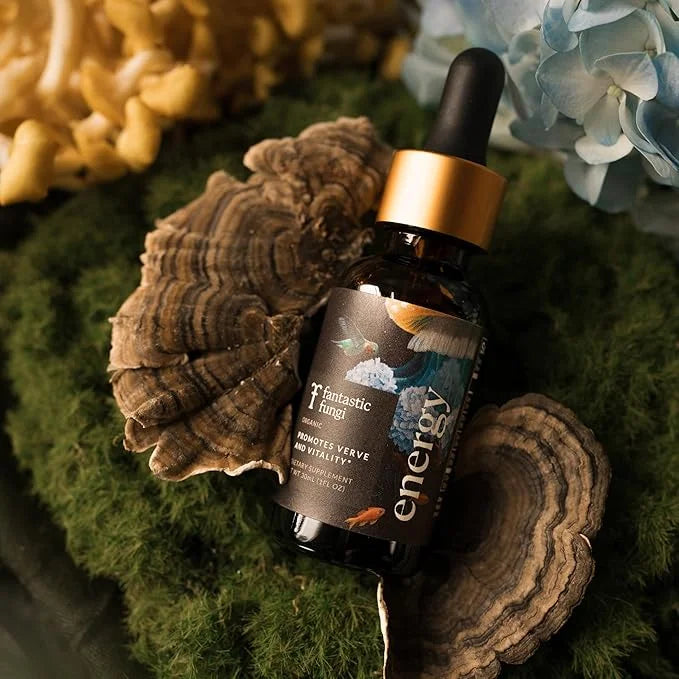 Energy Elixir | Organic Cordyceps and