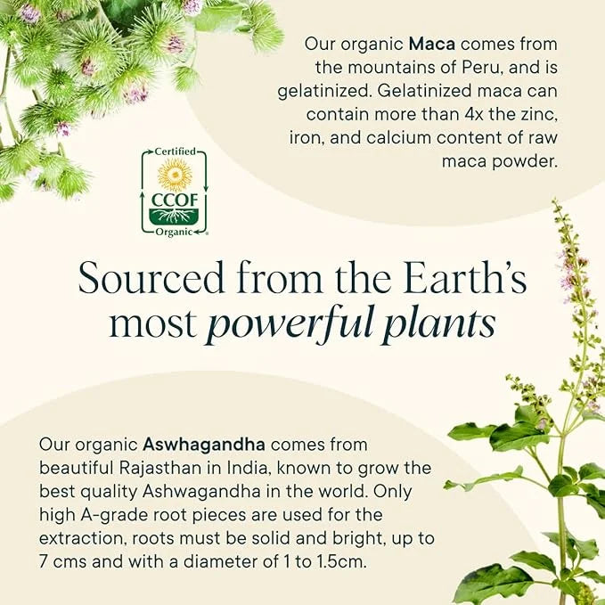Ora Organic Natural Hormone Balance Supplement & Hormonal Acne Relief for Women - Support Skin, Mood, Energy, PMS & Menopa...