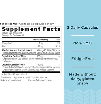 Probiotics by Ancient Nutrition, SBO Probiotics 60 Ct, 25 Billion