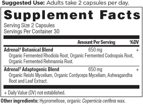 Adrenal Support with Ashwagandha Supplement by Ancient Nutrition, Helps Reduce Stress & Fatigue, Paleo and Keto Friendly, ...
