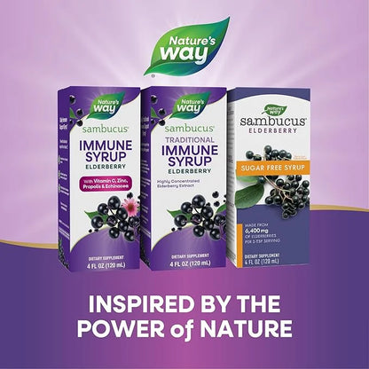 Nature’s Way Sambucus Elderberry Traditional Immune 4 Fl