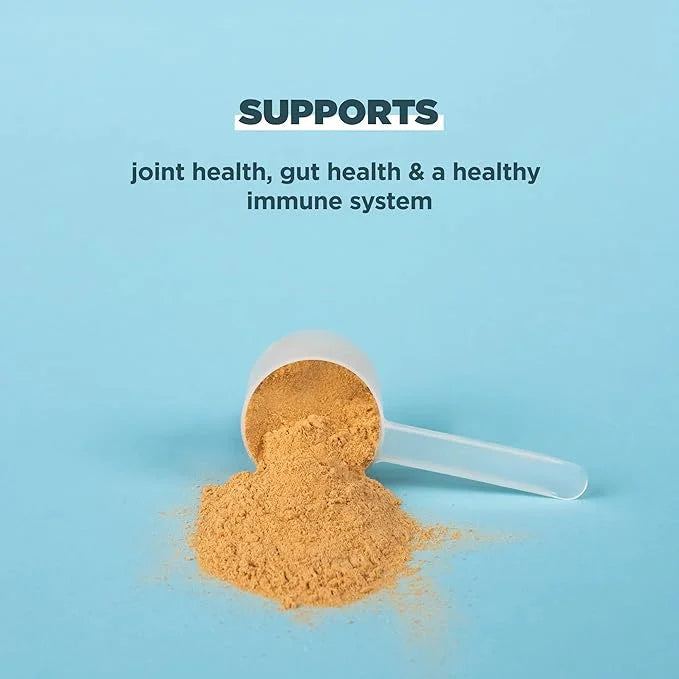 Protein Powder Made from Real Bone 20g Protein 20 Serving