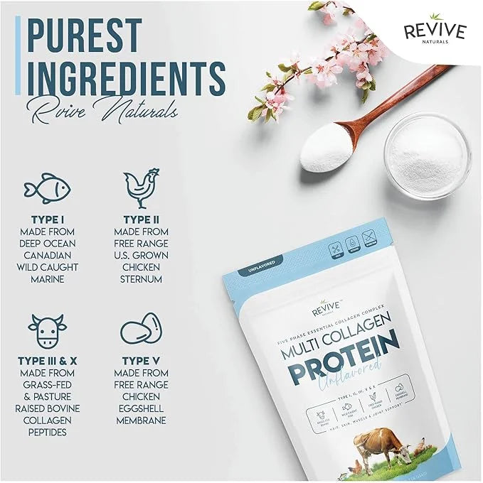 Multi Collagen Hydrolyzed Protein Powder (16oz)