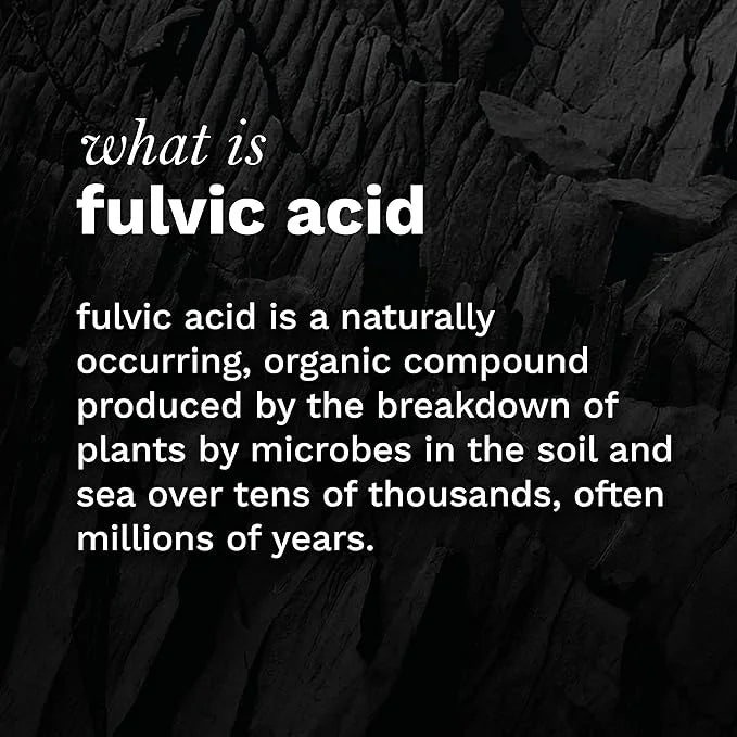 12ct Strawberry Rhubarb and 1ct Concentrated blk. Drops and Bioavailable Fulvic & Humic Acid Over 77 Trace Minerals Helps ...