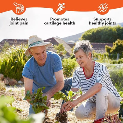 LifeSeasons Mobili-T - Joint Support Supplement - Glucosamine Chondroitin MSM Collagen Bromelain & Turmeric - Reduce Infla...