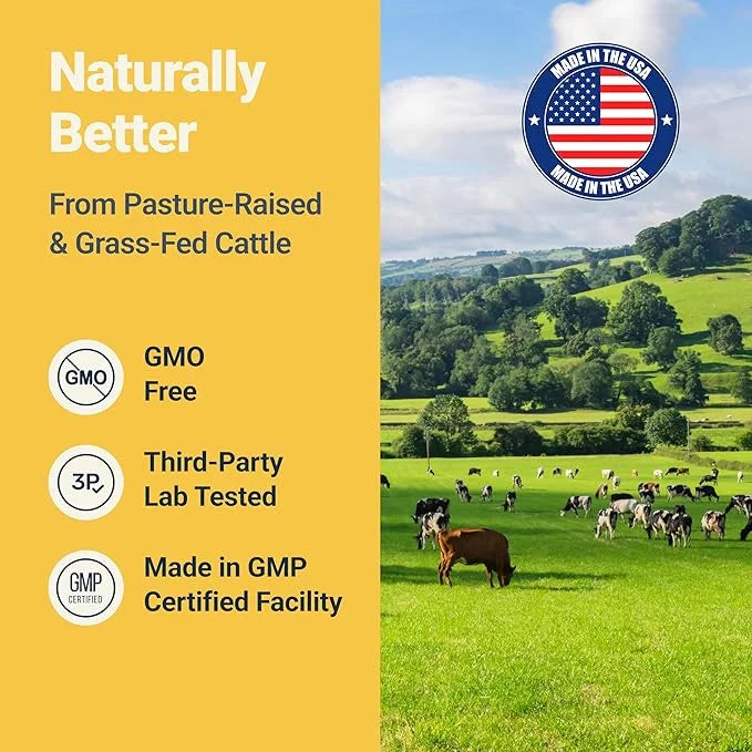 Sugar-Free Colostrum Gummies (1500mg) Bovine Colostrum for Humans, Grass-Fed Supplement for Gut Health, Leaky Gut Repair, ...