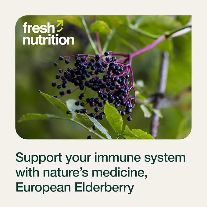 Elderberry Immune Support – Strongest DNA 1800mg Sambucus
