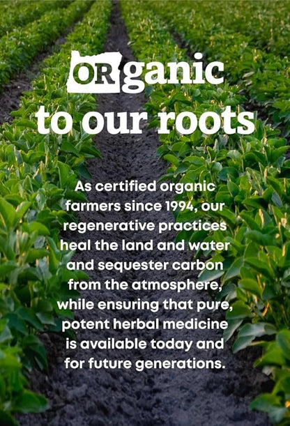 Oregon's Wild Harvest Non-GMO Ginkgo Certified 90 Count