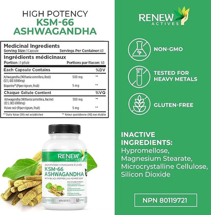 Renew Actives Ashwagandha KSM-66 Capsules 60 Capsules