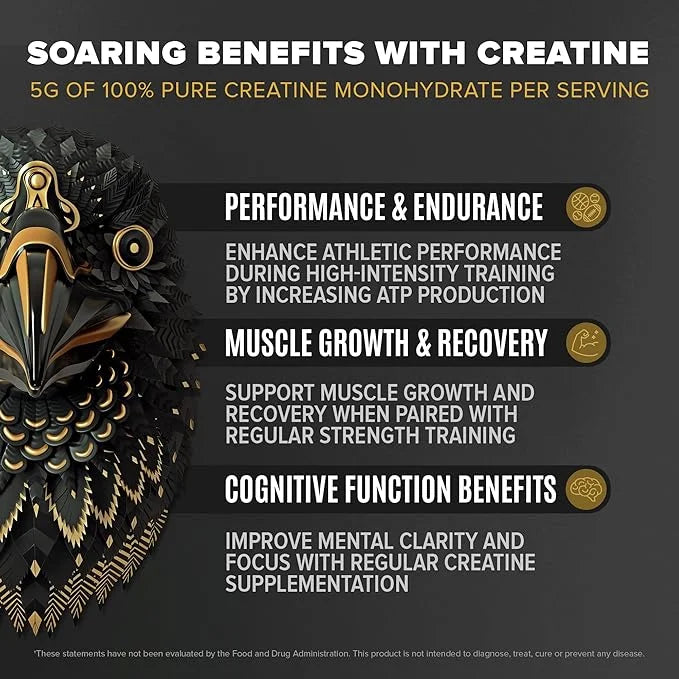 BIRDMAN Falcon Performance Vegan Protein Powder, 31g Protein, 5g Creatine, 5g BCAA, Probiotics, Electrolytes, Pre Workout,...