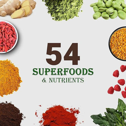 UpNourish Chocolate Vegan Protein Powder 54 Superfoods Powder,1.5 Billion CFU Probiotics 21g Plant Based Protein,No Sugar ...