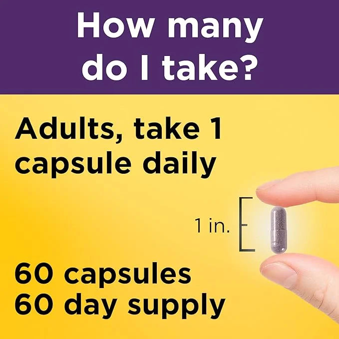 Nature Made Elderberry 400 mg Extract 60 Capsules, 60 Day