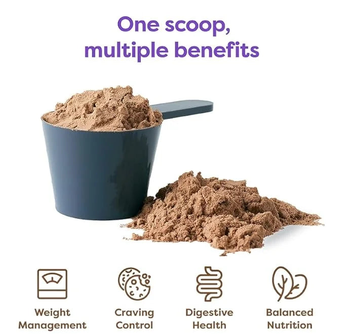 310 Nutrition All-In-One Meal Replacement Shake - Fiber-Rich Superfood Blend with Natural Sweeteners - Low Carb, Keto & Pa...