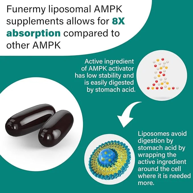 Liposomal AMPK Activator 2000 mg 6-in-1 AMPK 600 Softgels