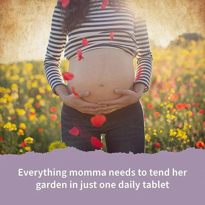 Garden of Life Organics Prenatal Vitamin: B6, B12, B12, D3 D3 – 30 Day