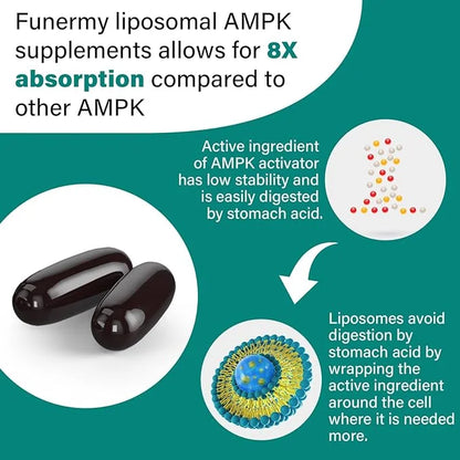 Liposomal AMPK Activator 2000 mg 6-in-1 AMPK 120 Softgels