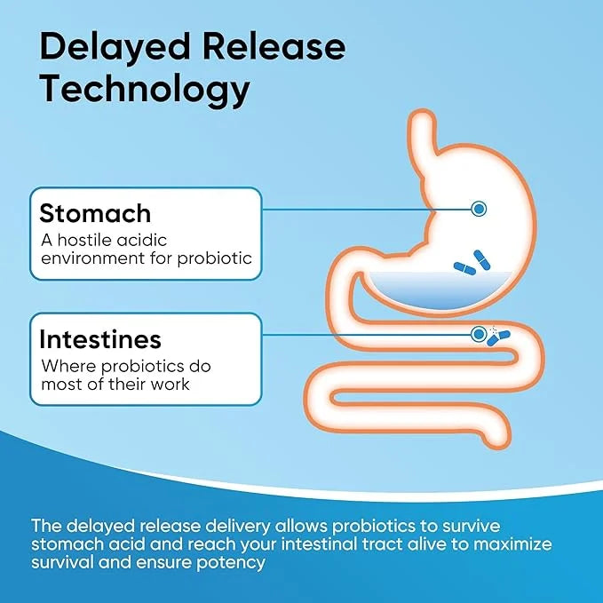 Probiotics for Women and Men, 500 Billion CFU, 22 Strains + Organic Prebiotics, Daily Probiotics for Digestive, Immune, & ...