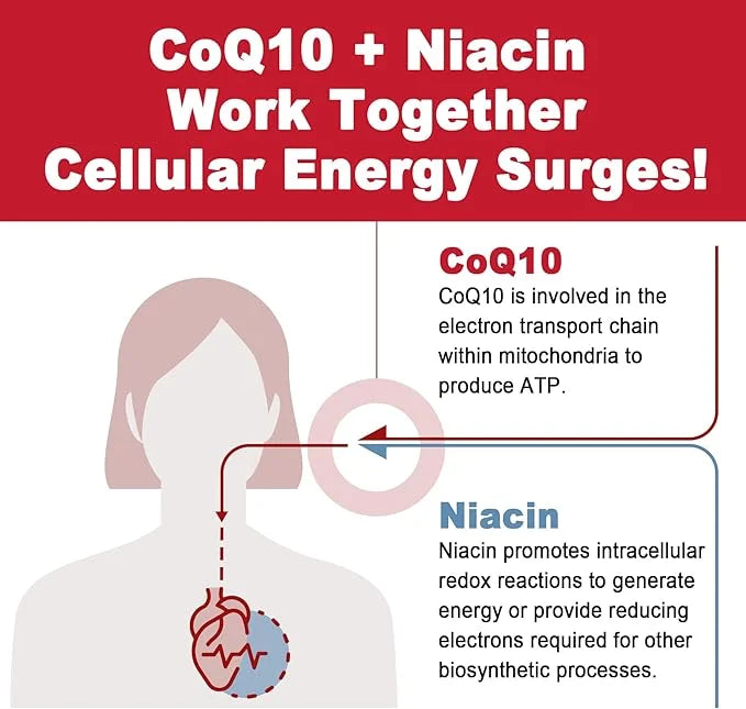 Sugar Free CoQ10 Filled Gummies 250MG, Q10 w/ B3, E CoQ10 (Ubiquinone)