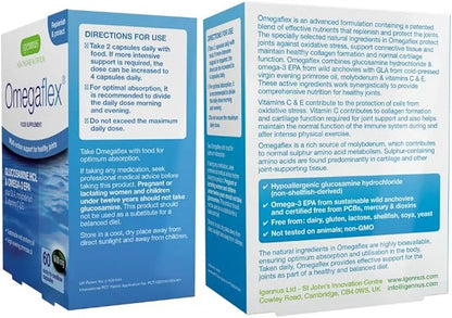 Omegaflex Glucosamine with High Strength Fish Omega-3 & 6, 70% 70% Concentration 60 Softgels
