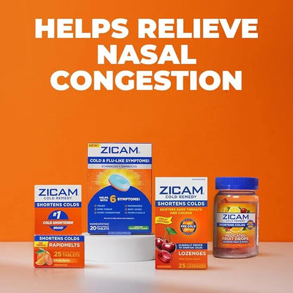 Zicam Cold Remedy Zinc RapidMelts, Elderberry 25 Count
