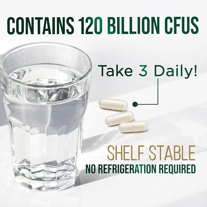 Probiotics for Digestive Health, 120 Billion 30 Capsules