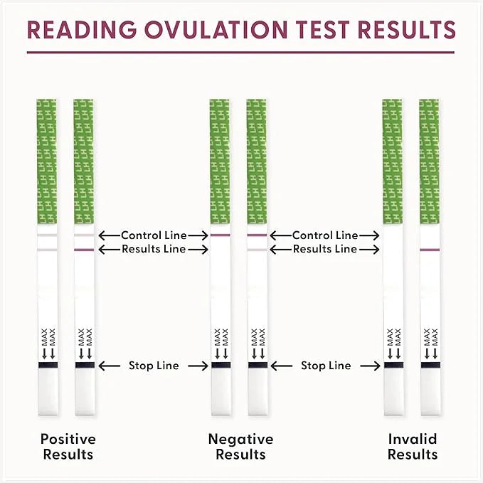 Fairhaven Health BFP Kit 40 Ovulation 10 Pregnancy