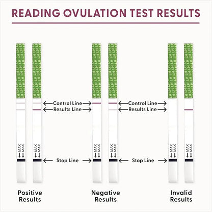 Fairhaven Health BFP Kit 40 Ovulation 10 Pregnancy
