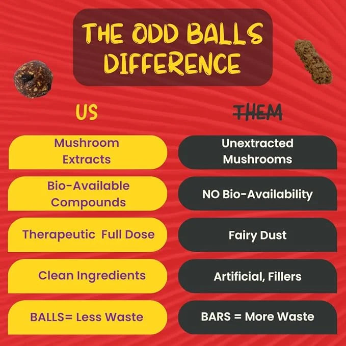 ODD BALLS Organic Energy Balls Cherry - Superfood Mushroom Snack - Running, Cycling, Hiking - Gels, Bars Alternative - Lio...