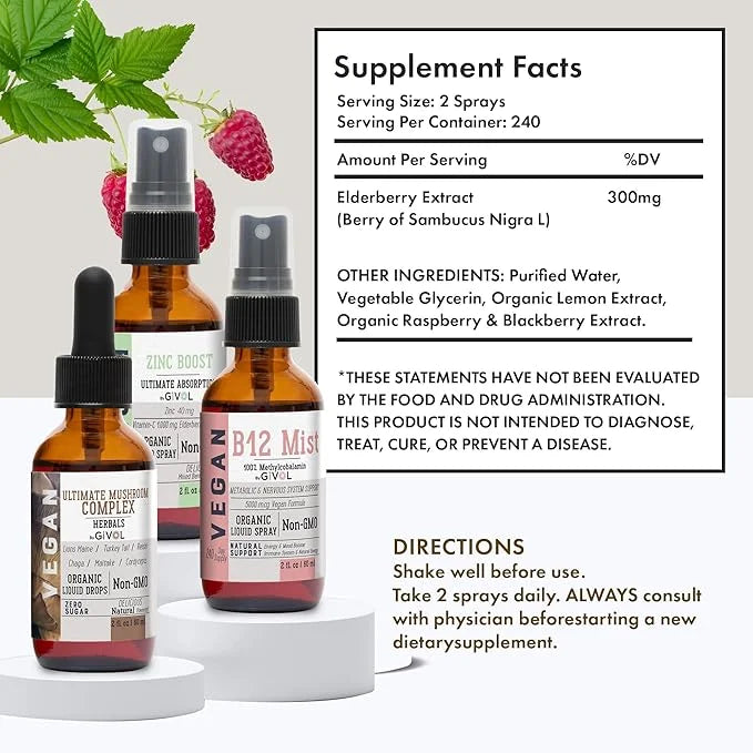 Cognitive Wellness Bundle Liquid Vitamin Trio: B12, Lions 360 Days