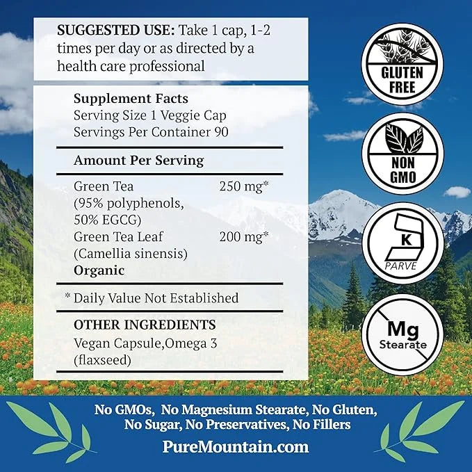 Green Tea Capsules 90 Kosher 450mg Organic
