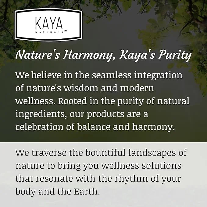Kaya Naturals Elderberry Immune Support 1200mg Immune 30 Count