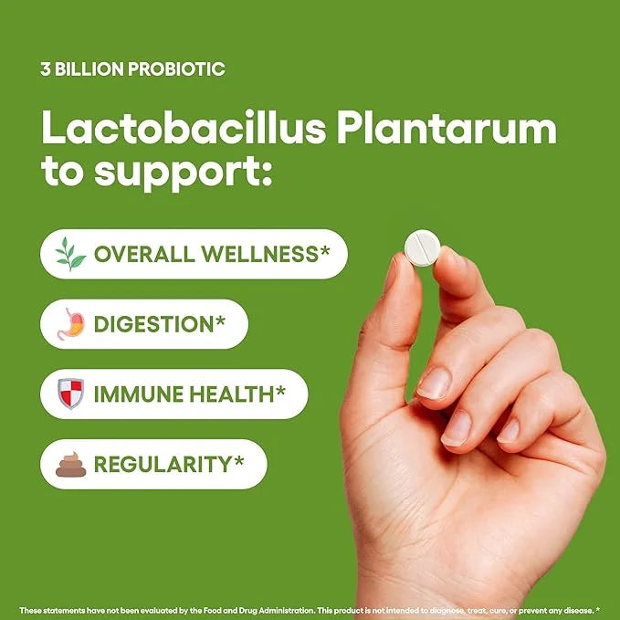 Lactobacillus Plantarum Probiotic Supplement 240 Tablets 3 Billion CFU Probiotics for Men & Women Supports Intestinal Dige...