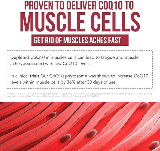 SoActive CoQ10® 250 mg: CoQ10 Phytosome 9X Higher (60 Capsules)