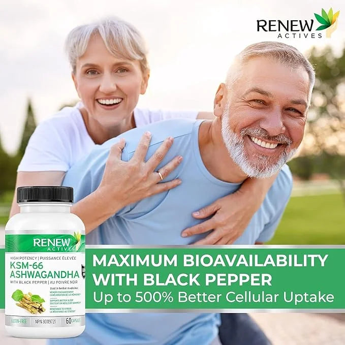 Renew Actives Ashwagandha KSM-66 Capsules 60 Capsules