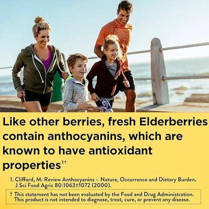 Nature Made Elderberry with Vitamin C 60 Elderberry 30 Day