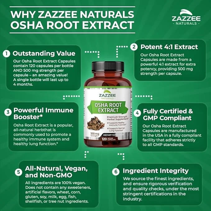 Zazzee OSHA Root 4:1 Extract, 500 120 Vegan 4 Month 4X Extract, 100% Vegetarian,